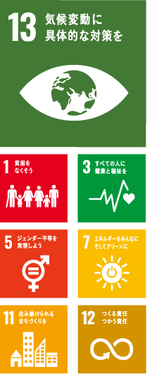 sdgs