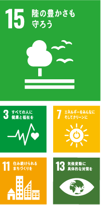 sdgs