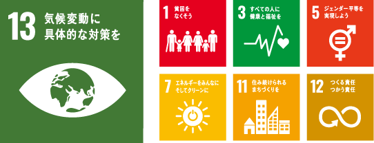 sdgs