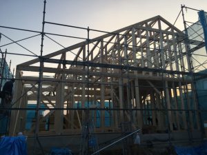 s_IMG_7962