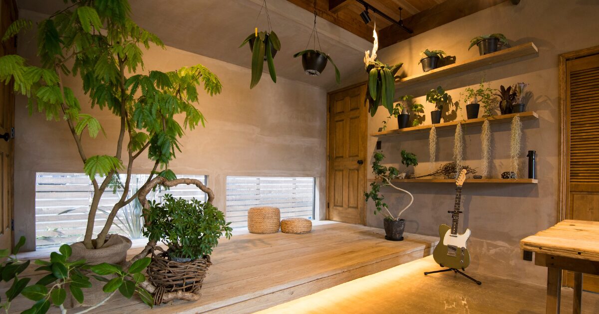 観葉植物🌳秋から冬の水やり