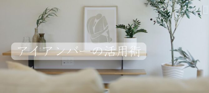 アイアンバー活用術💡