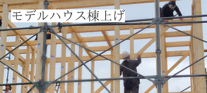 モデルハウス計画 Vol.5